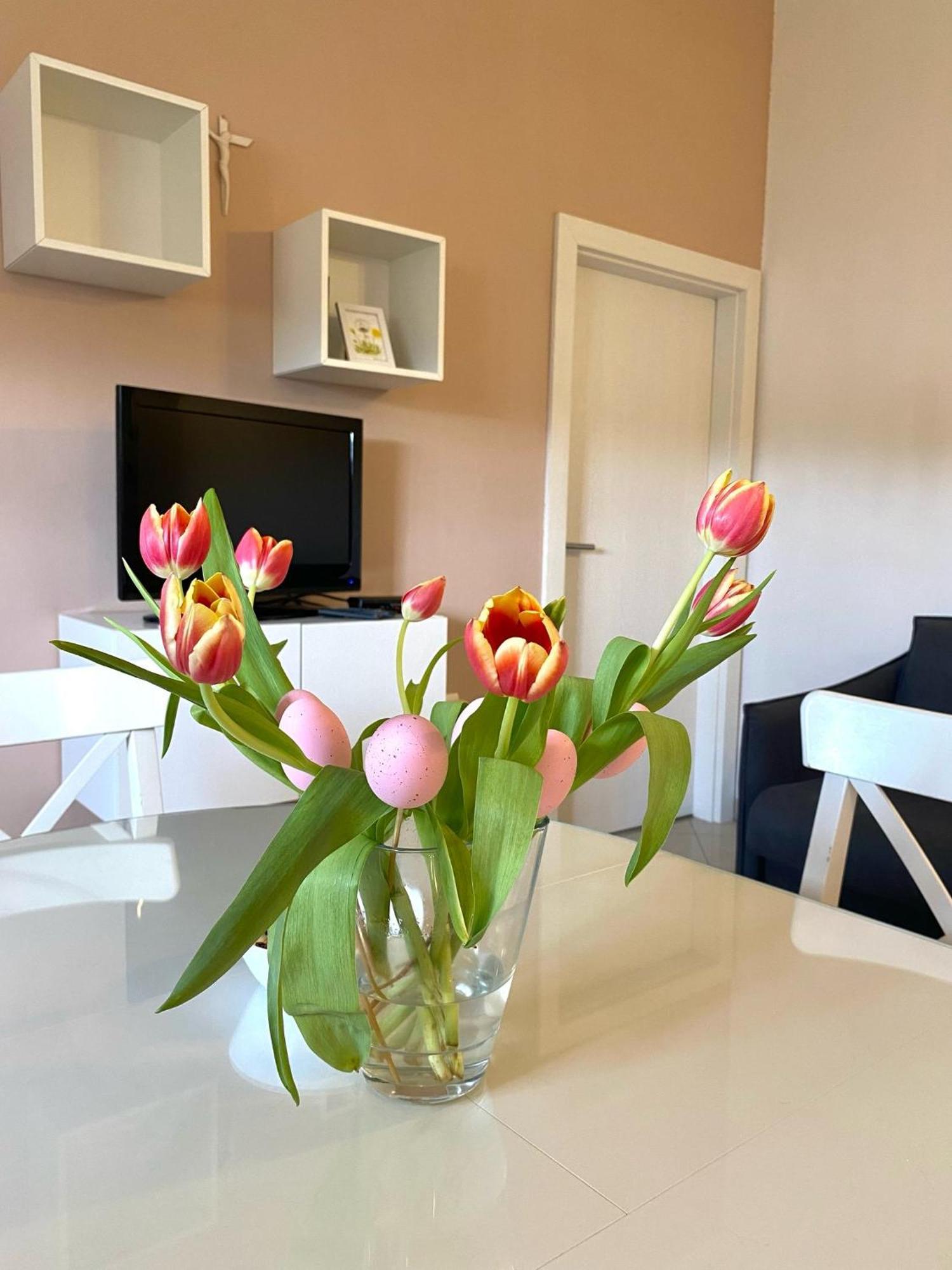 Apartments Maria Kukljica Dış mekan fotoğraf