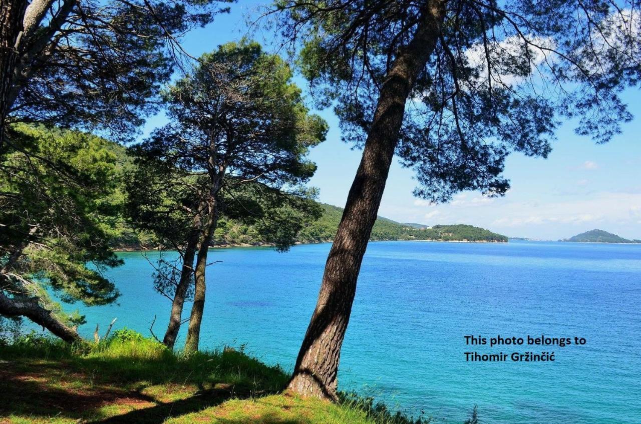Apartments Maria Kukljica Dış mekan fotoğraf