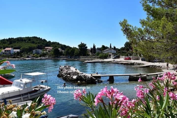Apartments Maria Kukljica Dış mekan fotoğraf
